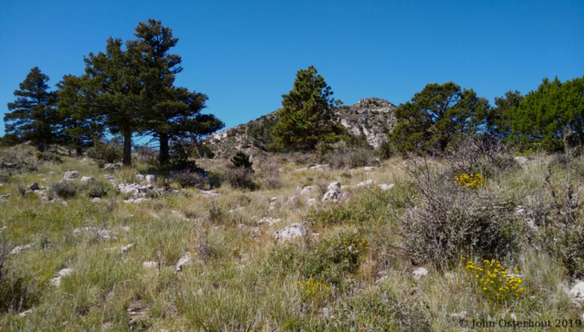 Guadalupe Peak, Still a Way to Go